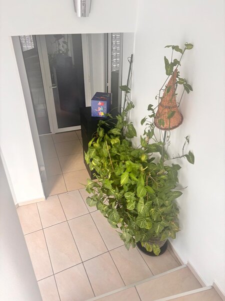 Antiaeriana casa de vanzare 6 camere potential business notariat/clinica
