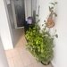 Antiaeriana casa de vanzare 6 camere potential business notariat/clinica